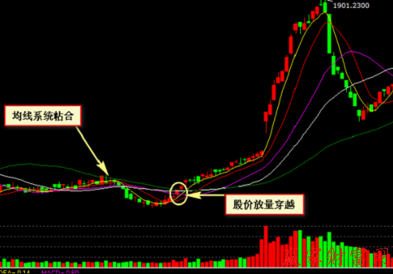 000008  寶利來  1分鐘圖上均線系統(tǒng)粘合后股價向上穿越買入法實例圖