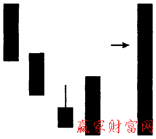 藏嬰吞沒形態(tài)的簡化