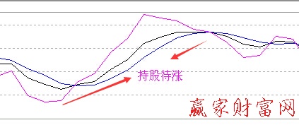 金叉和死叉之間的持股