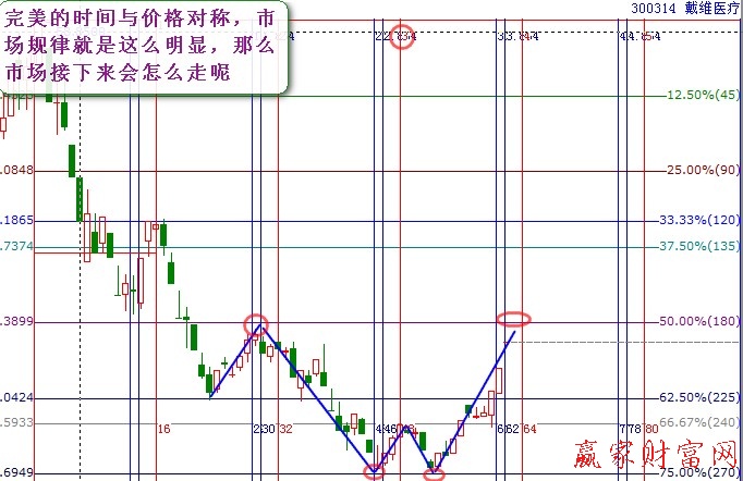 市場(chǎng)對(duì)稱美3