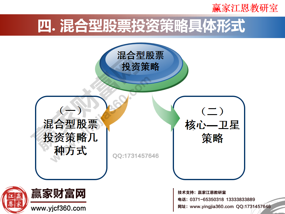 混合型股票投資策略具體形式