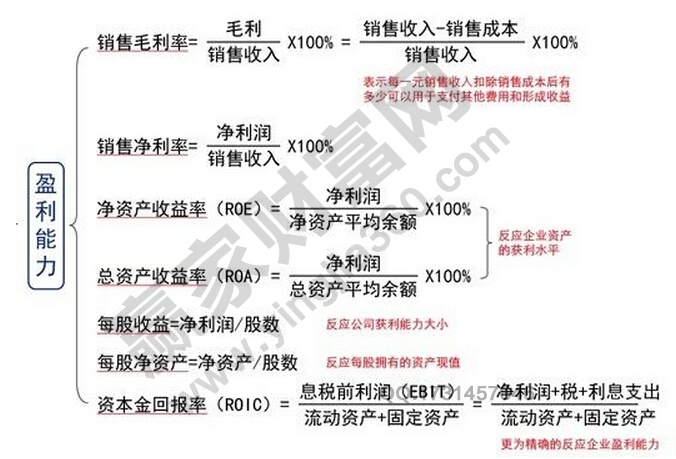 公司分析 盈利能力指標(biāo)