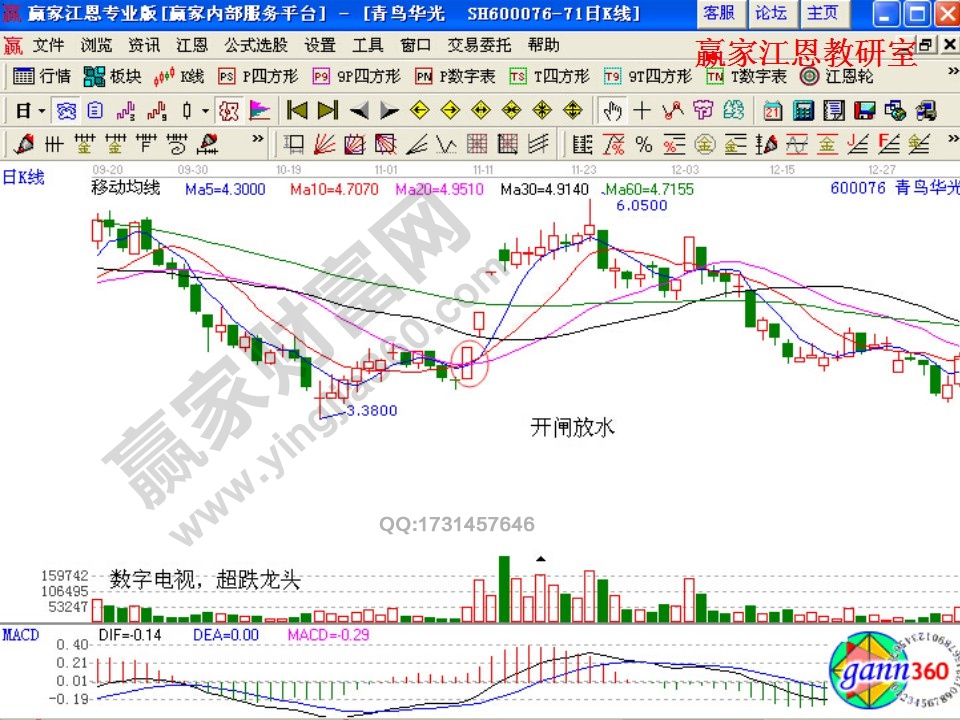 青鳥(niǎo)華光出現(xiàn)了開(kāi)閘放水的形態(tài)