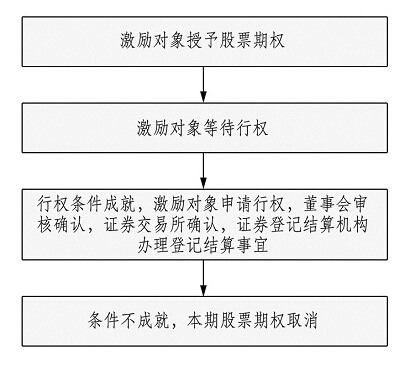 股票期權(quán)激勵方案實施流程