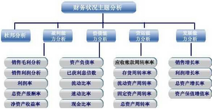 財(cái)務(wù)分析