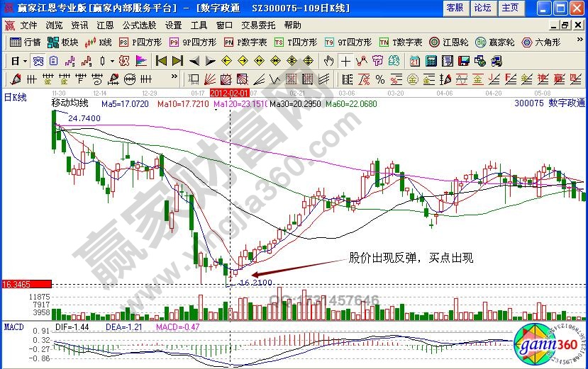 數(shù)字政通反彈