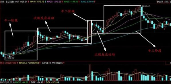 次級反應(yīng)運動形成的原因