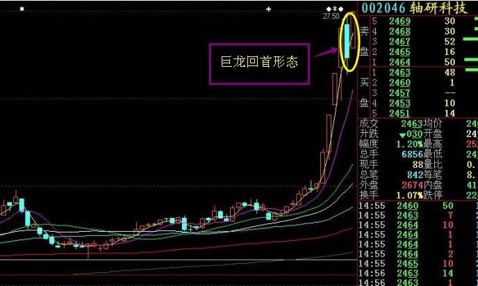 巨龍回首形態(tài) 的運(yùn)用解析