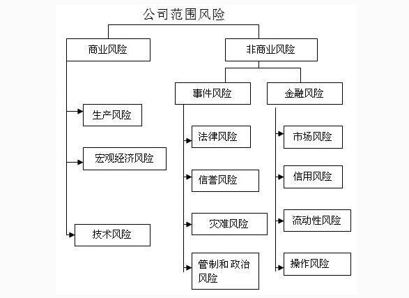 公司范圍之內(nèi)的風(fēng)險(xiǎn)