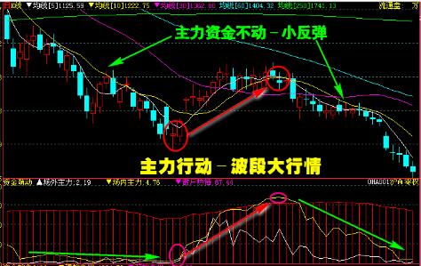 主力大波段行情