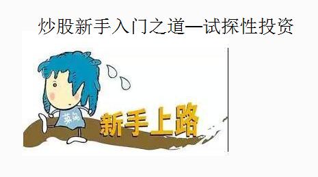 試探性投資