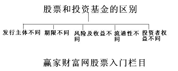 股票和投資基金的區(qū)別.jpg