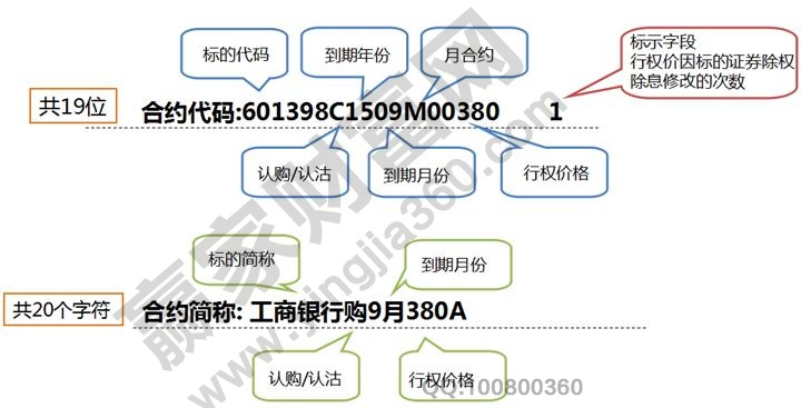 期權合約代碼