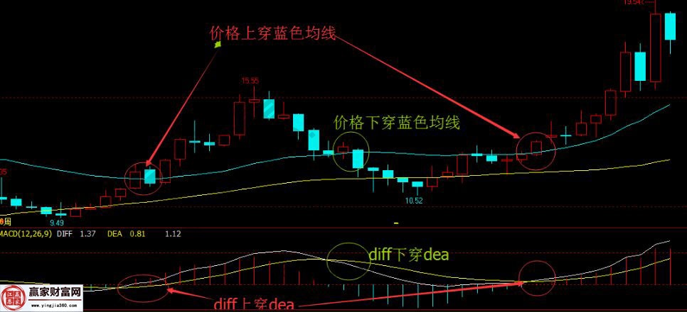 東山精密的周線圖