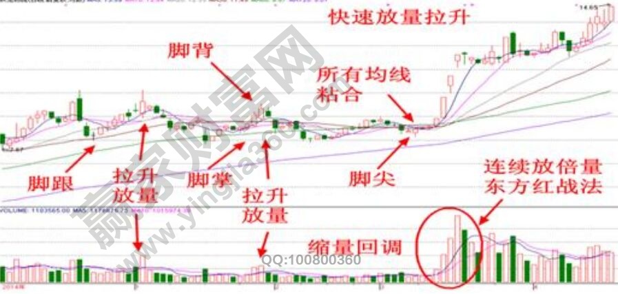 金雞獨立實戰(zhàn)圖形.jpg