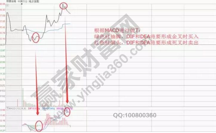 熙菱信息分時(shí)圖.jpg