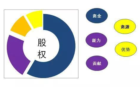 股權怎么分配合理